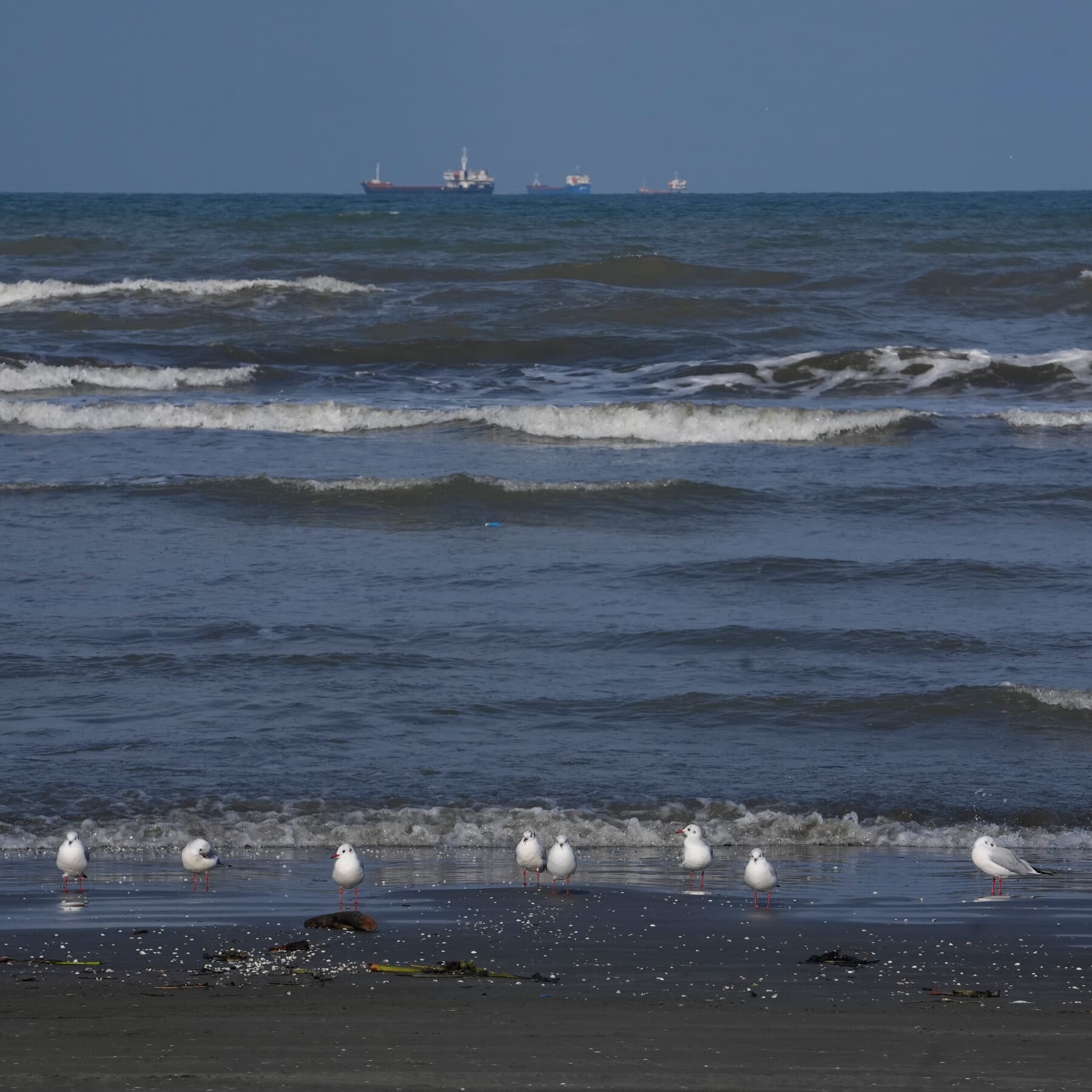Ukraine’s Strike on an Iranian Ship Could Bring Two Wars Closer