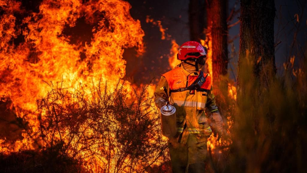 Hundreds arrested over French wildfires, but who is to blame?