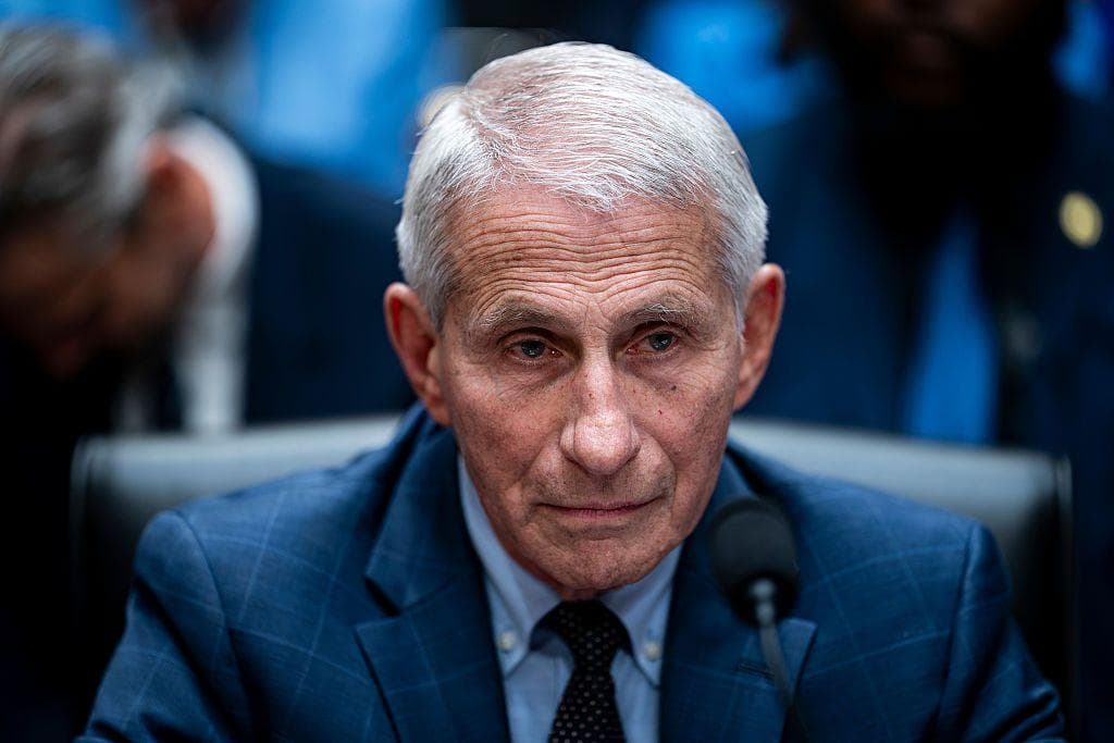 Anthony Fauci refuses to answer questions during tense US Senate hearing about Covid origins