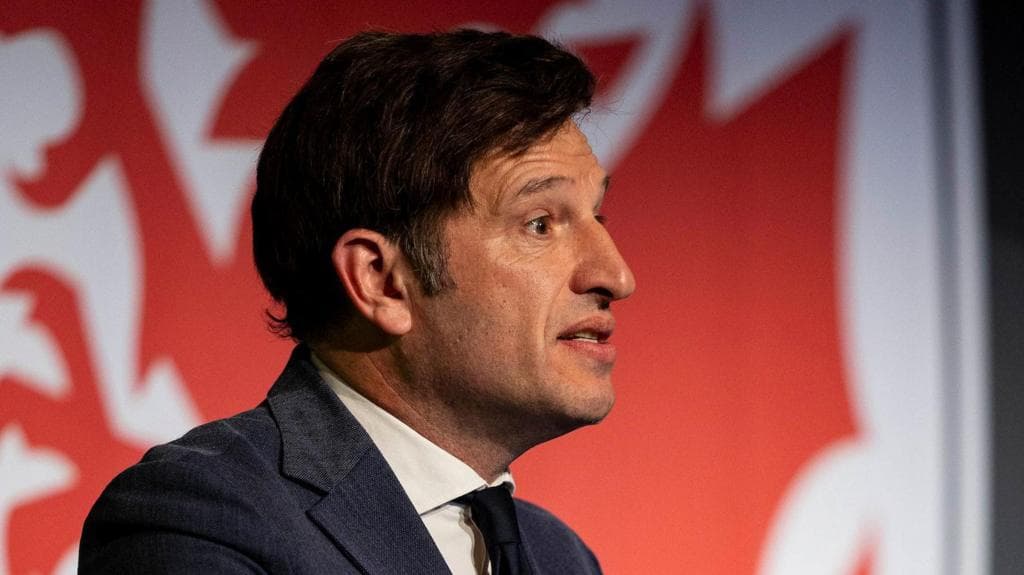 FAW chief expects Bellamy to remain Wales boss