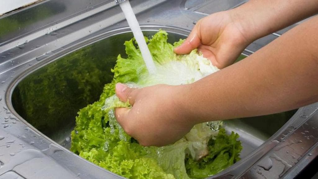US reports first two deaths linked to 'explosive diarrhoea' outbreak