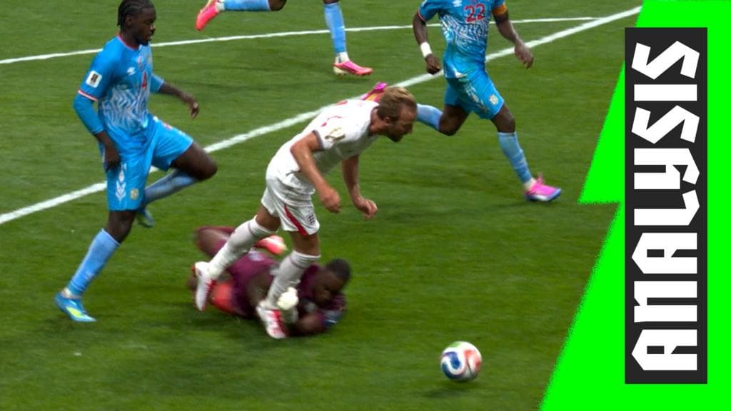 Pundits split on Kane penalty claim