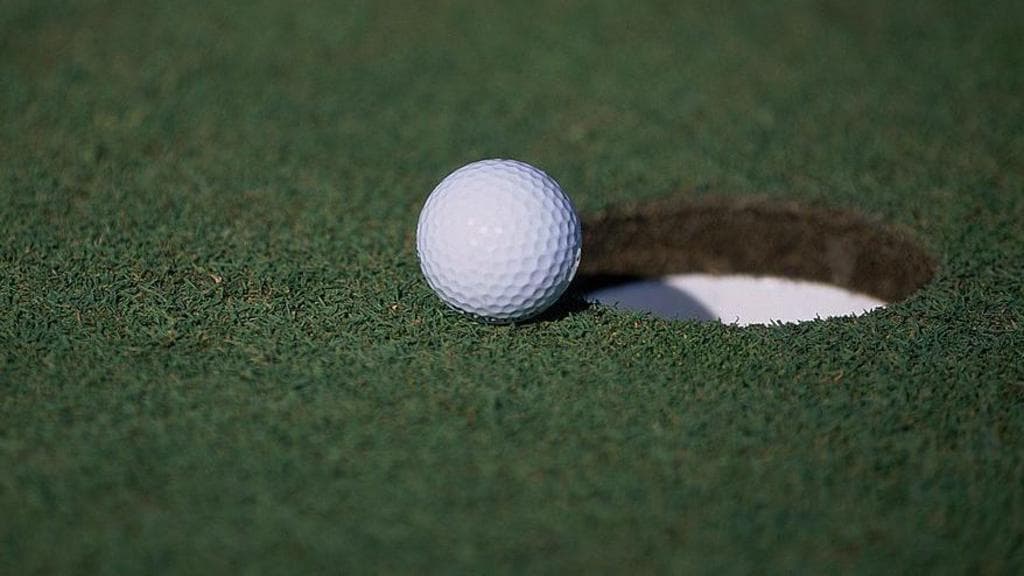 Golfer admits 'stupidity' after faking hole-in-one