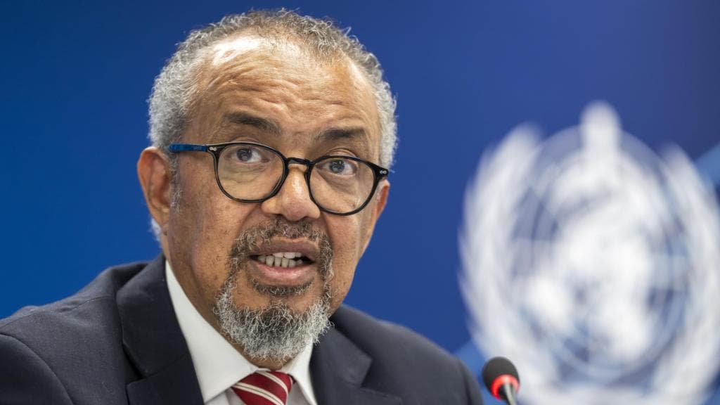 Ebola outbreak on track to be deadliest ever, WHO chief says