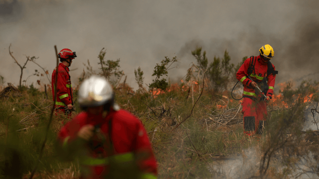 Firefighters battle wildfire as tens of thousands evacuated near Bordeaux