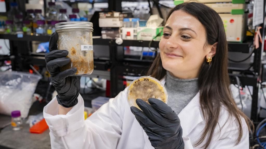 The ancient trick making food waste useful and tasty