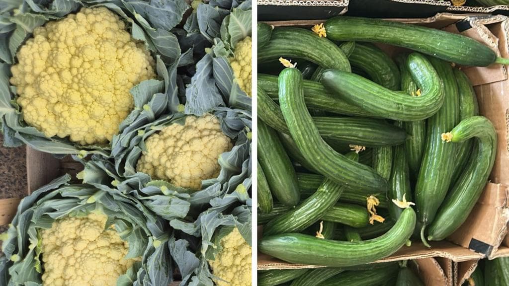 Sun-tanned cauliflowers and knobbly spuds - the heatwave veg that's good to eat