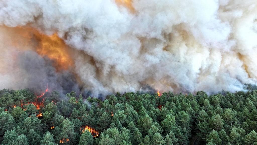 Planes sent to tackle wildfires of 'exceptional scale' near Paris