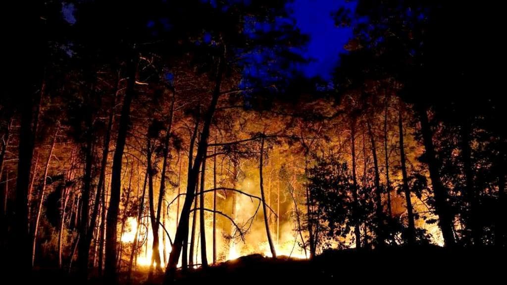 Planes sent to tackle wildfires of 'exceptional scale' near Paris
