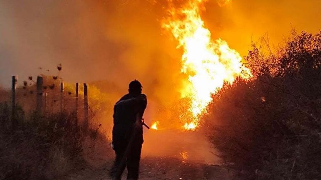 Algeria introduces death penalty for arsonists after deadly wildfires