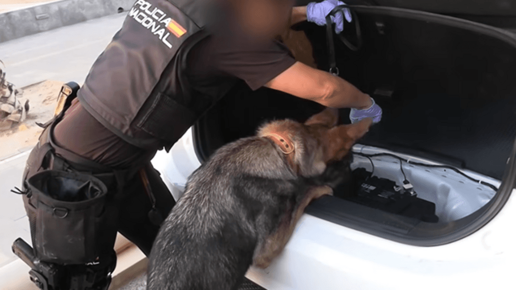Spanish police arrest 78 people in bust of 'one of largest' smuggling networks