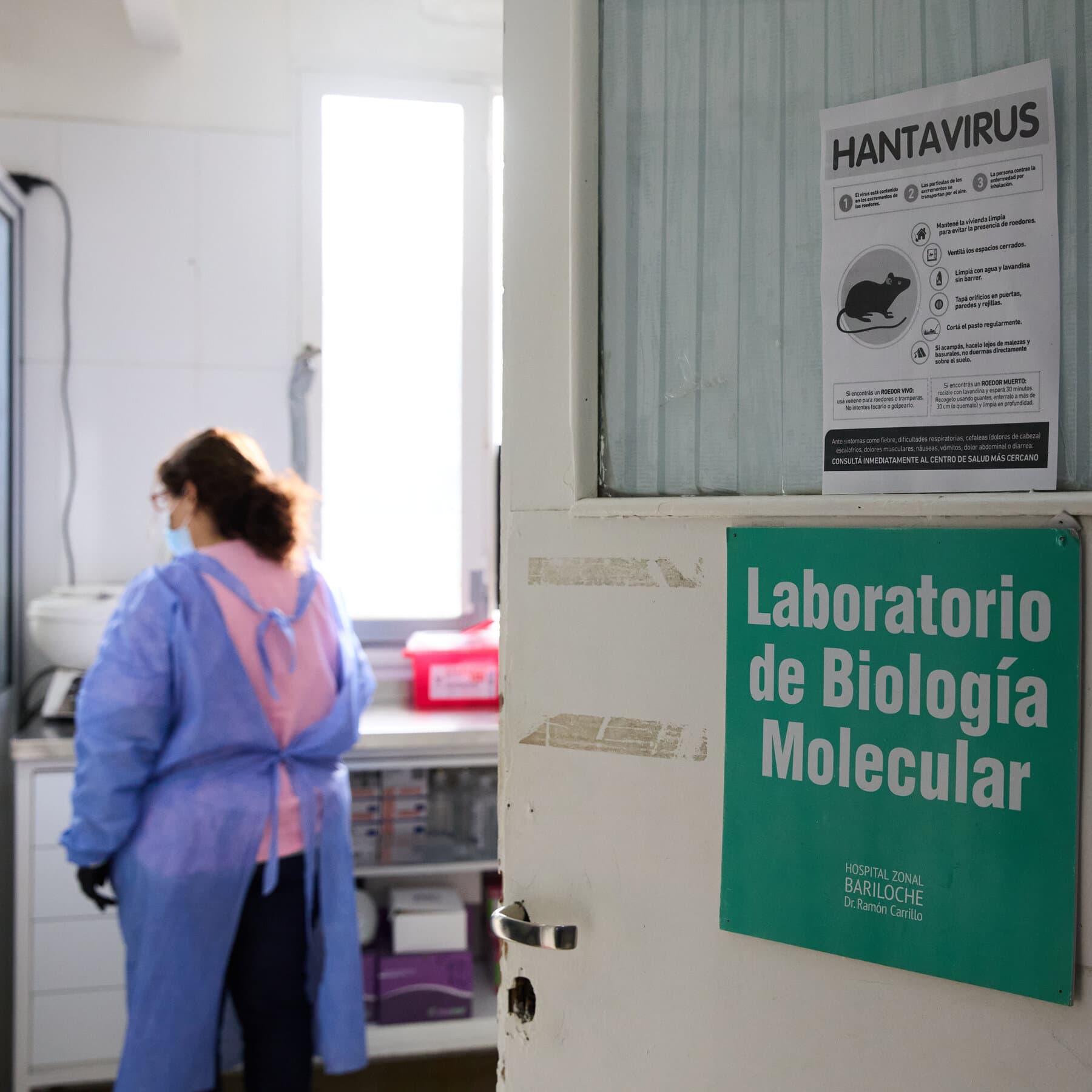 Argentina Races To Find Origin of Hantavirus Outbreak