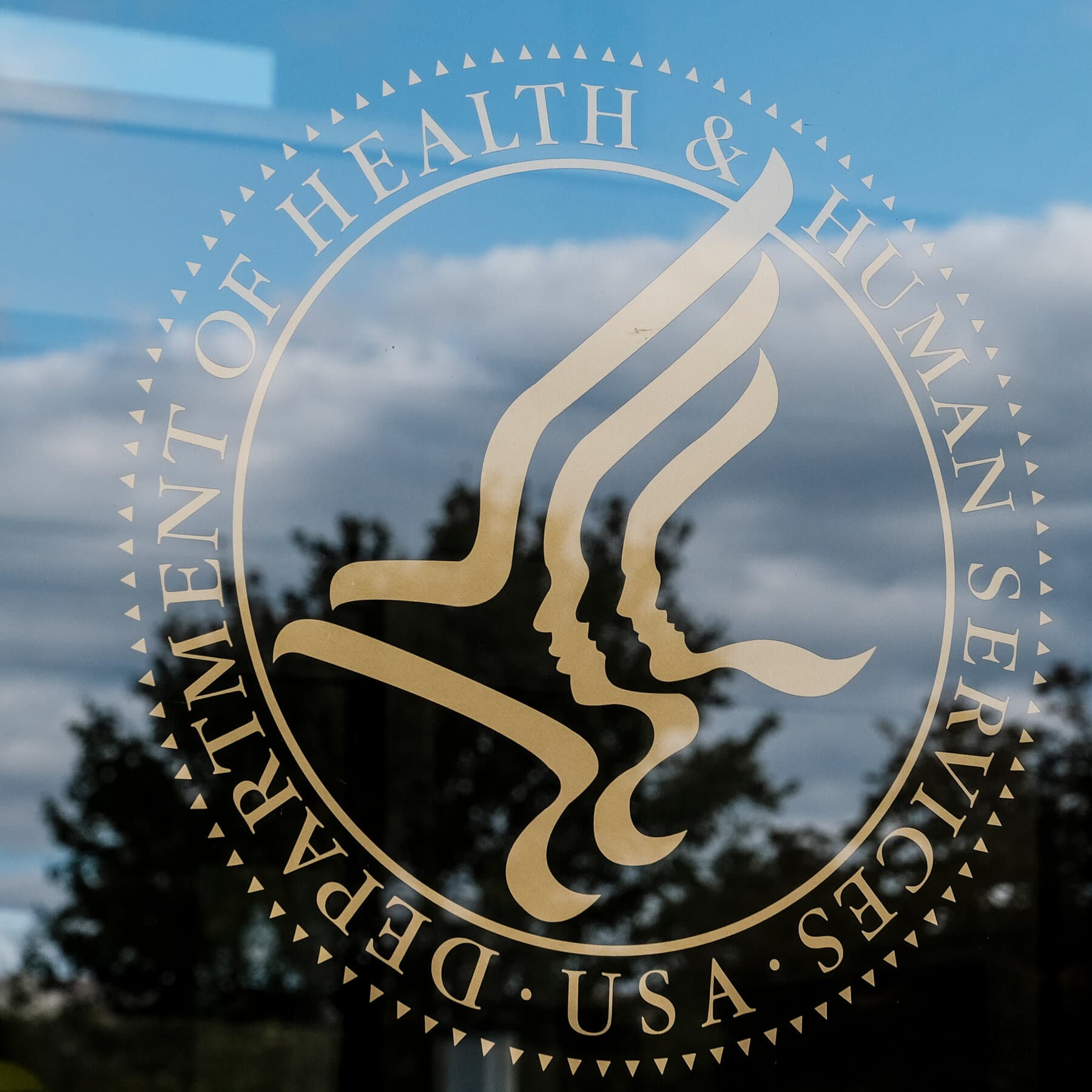 Rich Danker, RFK Jr.’s Top Spokesman, Resigns in Protest Over New Vaping Policy