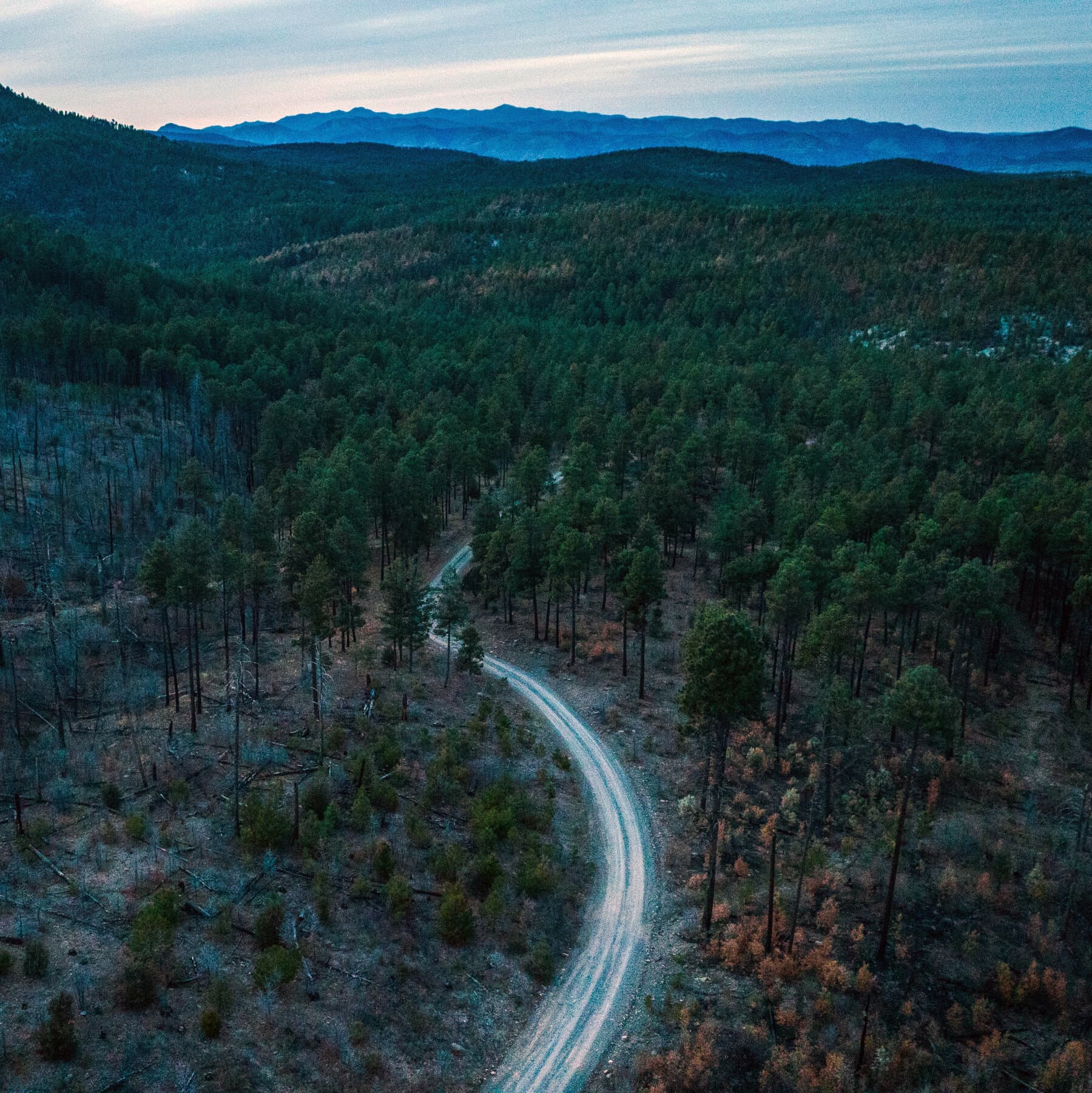 U.S. Forest Service to Open Millions of Acres to Off-Road Vehicles