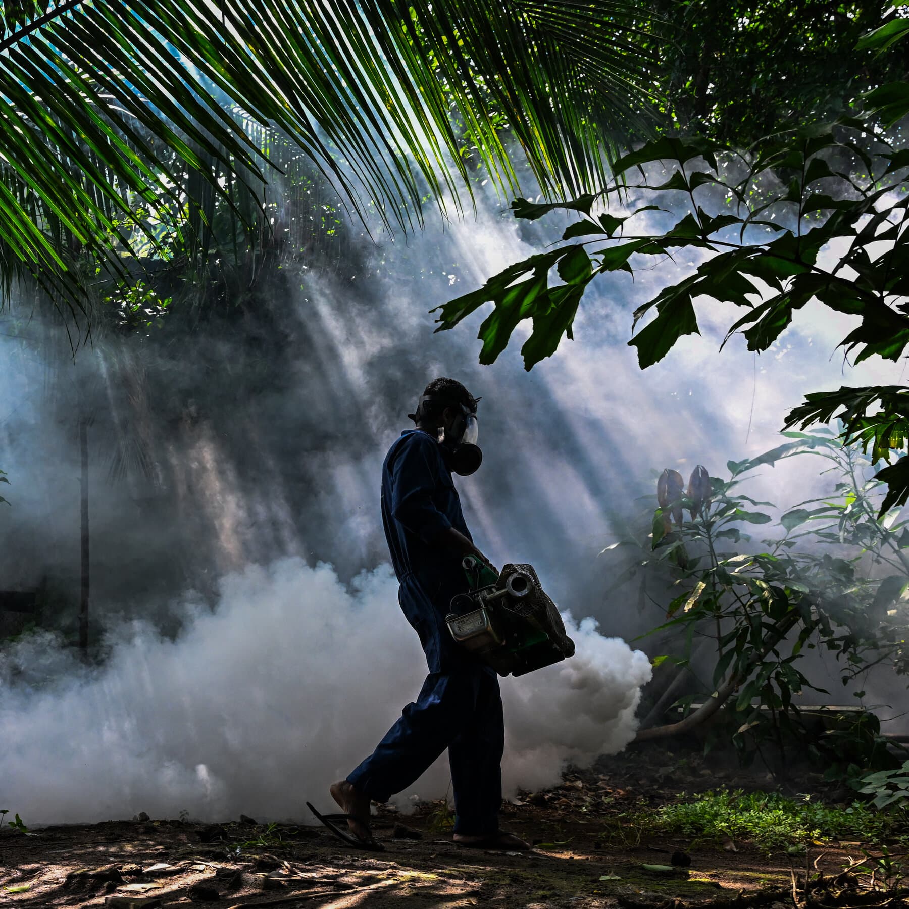 Drones Used to Fight Mosquitoes as Dengue Fever Surges in Sri Lanka