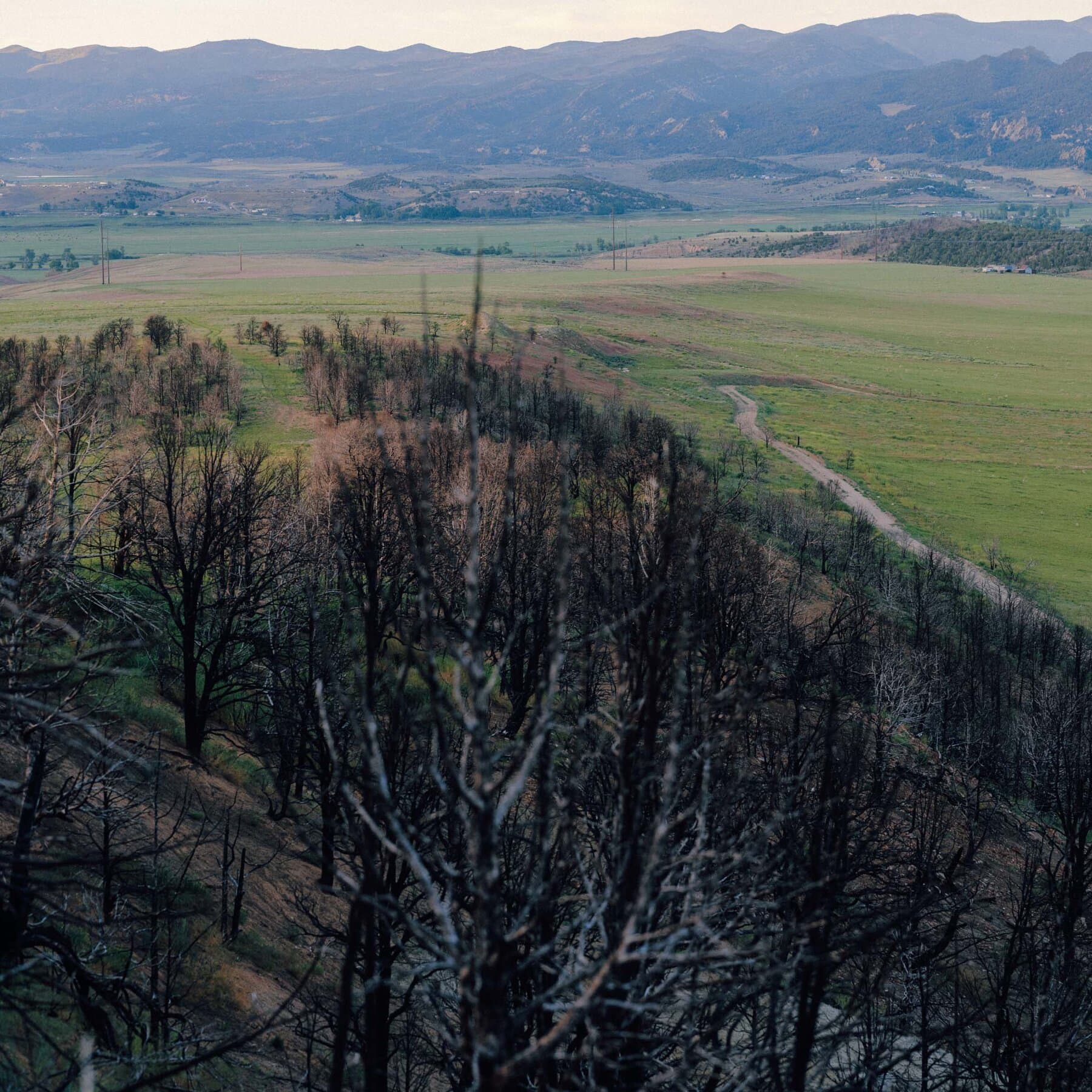 In Colorado, the Long Aftermath of a Fire Feels Political