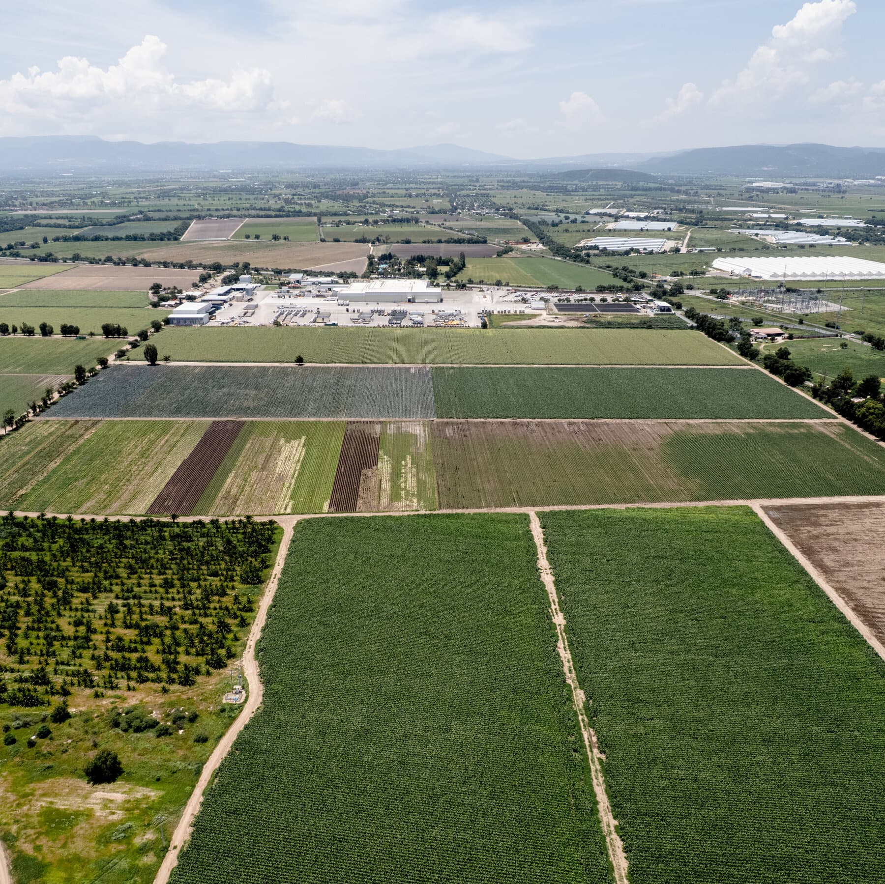 A Lettuce-Growing Region in Mexico Stomachs the Fallout From the Cyclospora Outbreak