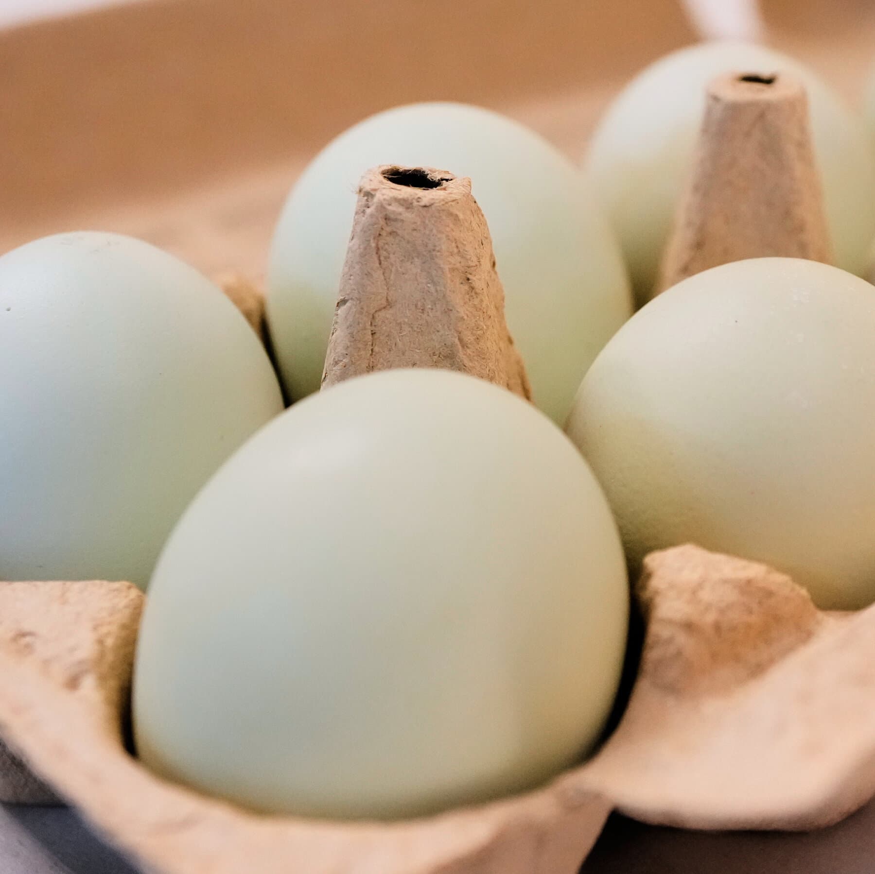 1.6 Million Egg Cartons Are Recalled Over Salmonella Risk