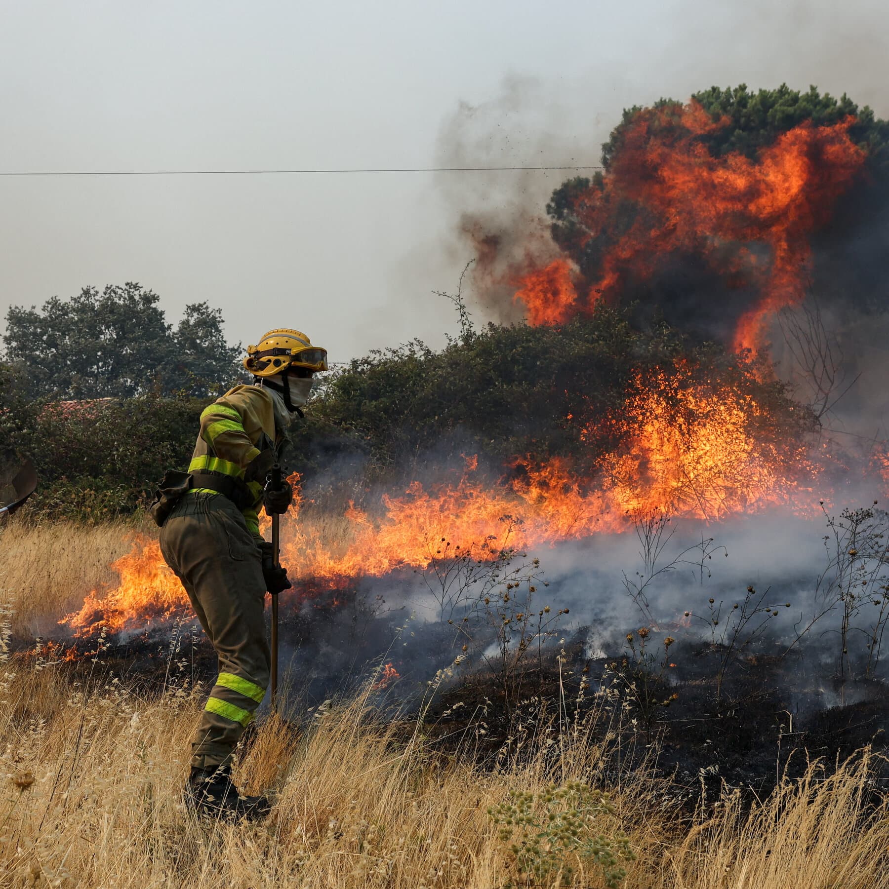 Fires Rage in Spain and France, Forcing Thousands to Flee