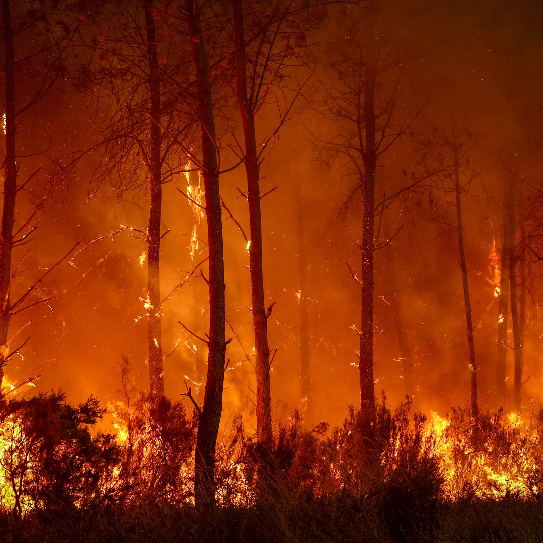 Wildfires Live Updates: Extreme Heat Threatens New Blazes as Spain and France Confront ‘Unprecedented’ Fire Season