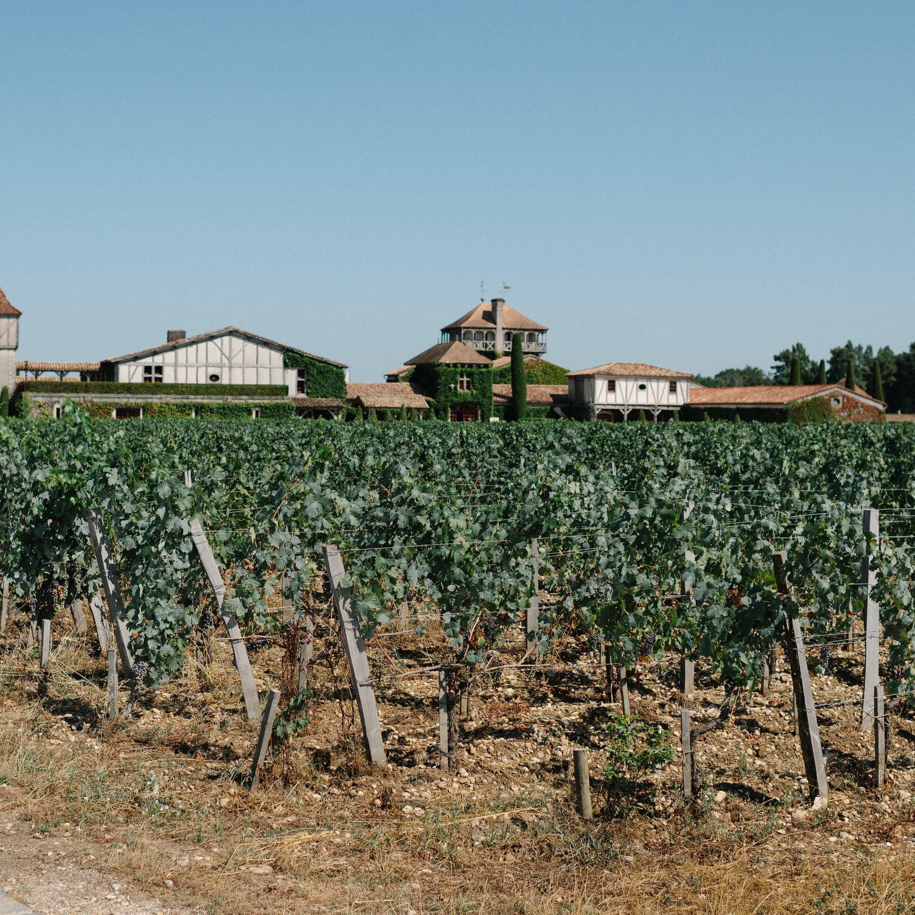 Fire Raging Near Bordeaux Brings More Bad News for Its Vineyards
