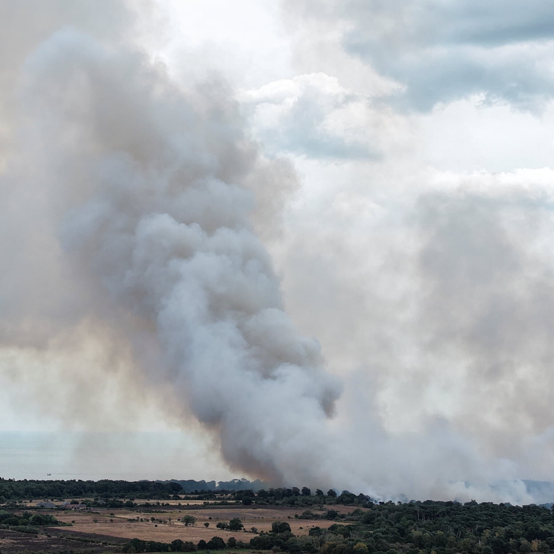 Wildfire in Suffolk, UK, Breaks Out a Few Miles From Nuclear Power Station