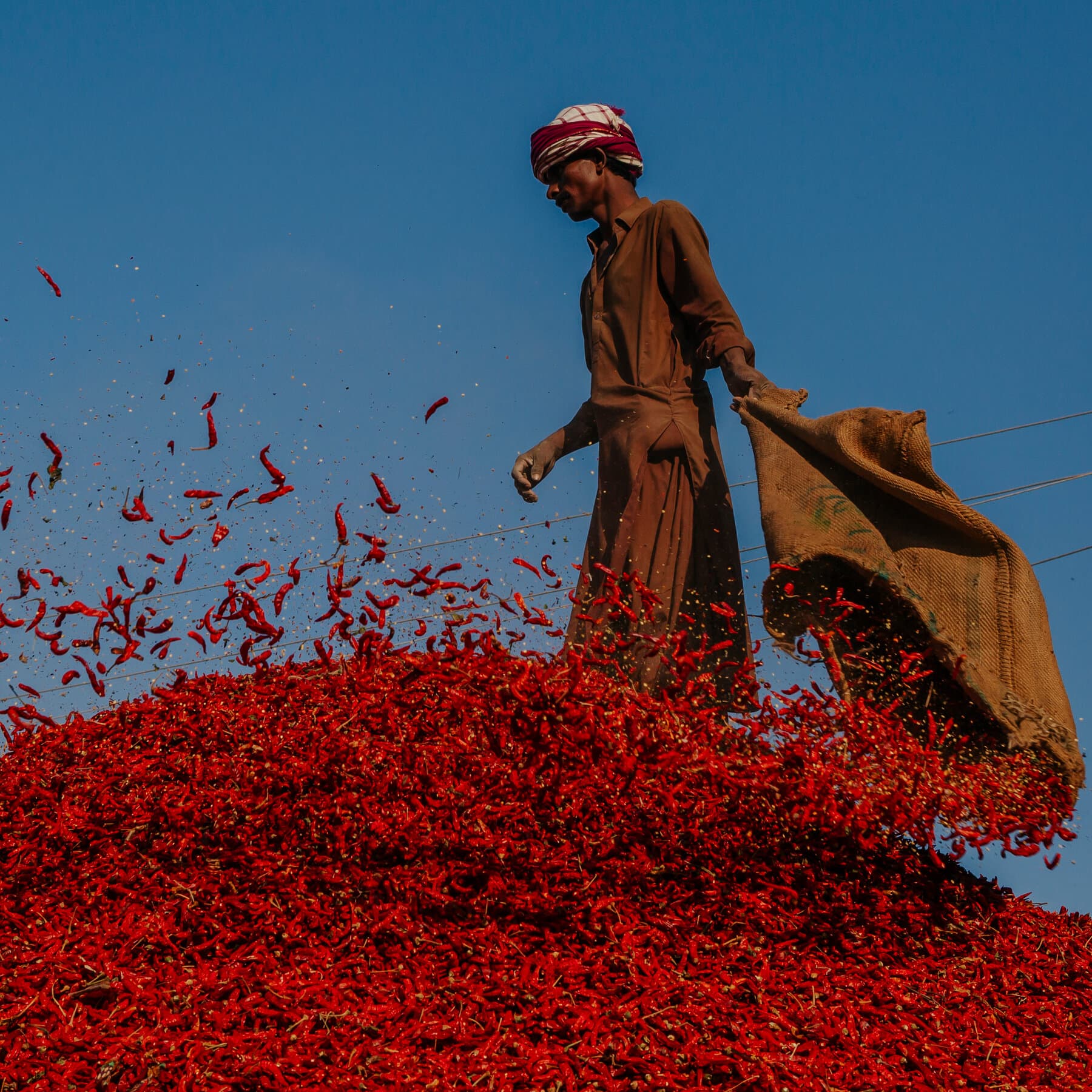 Extreme Heat Comes for the Red Chile Capital of Pakistan