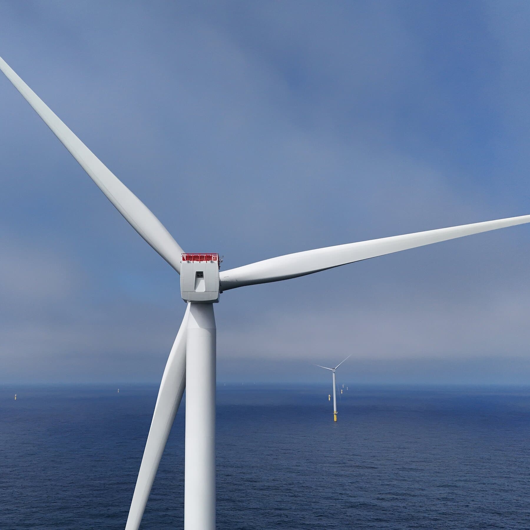 Trump Administration to Pay RWE to Cancel Wind Leases