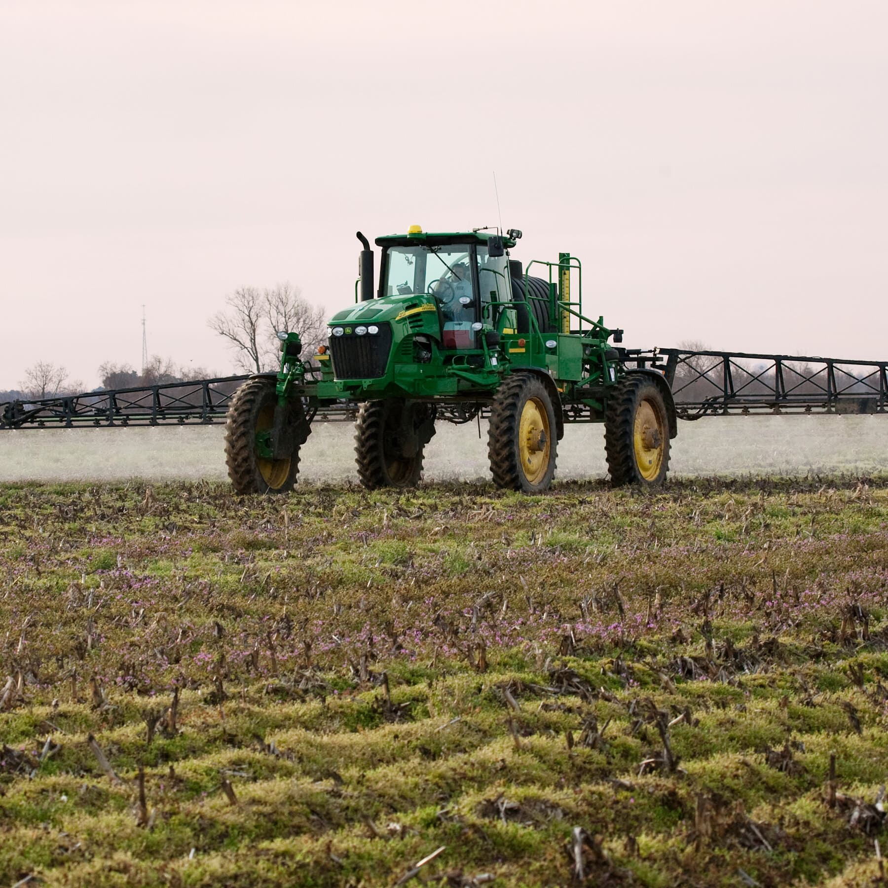 This Pesticide May Be Too Dangerous to Use. Farmers Say They Need It.