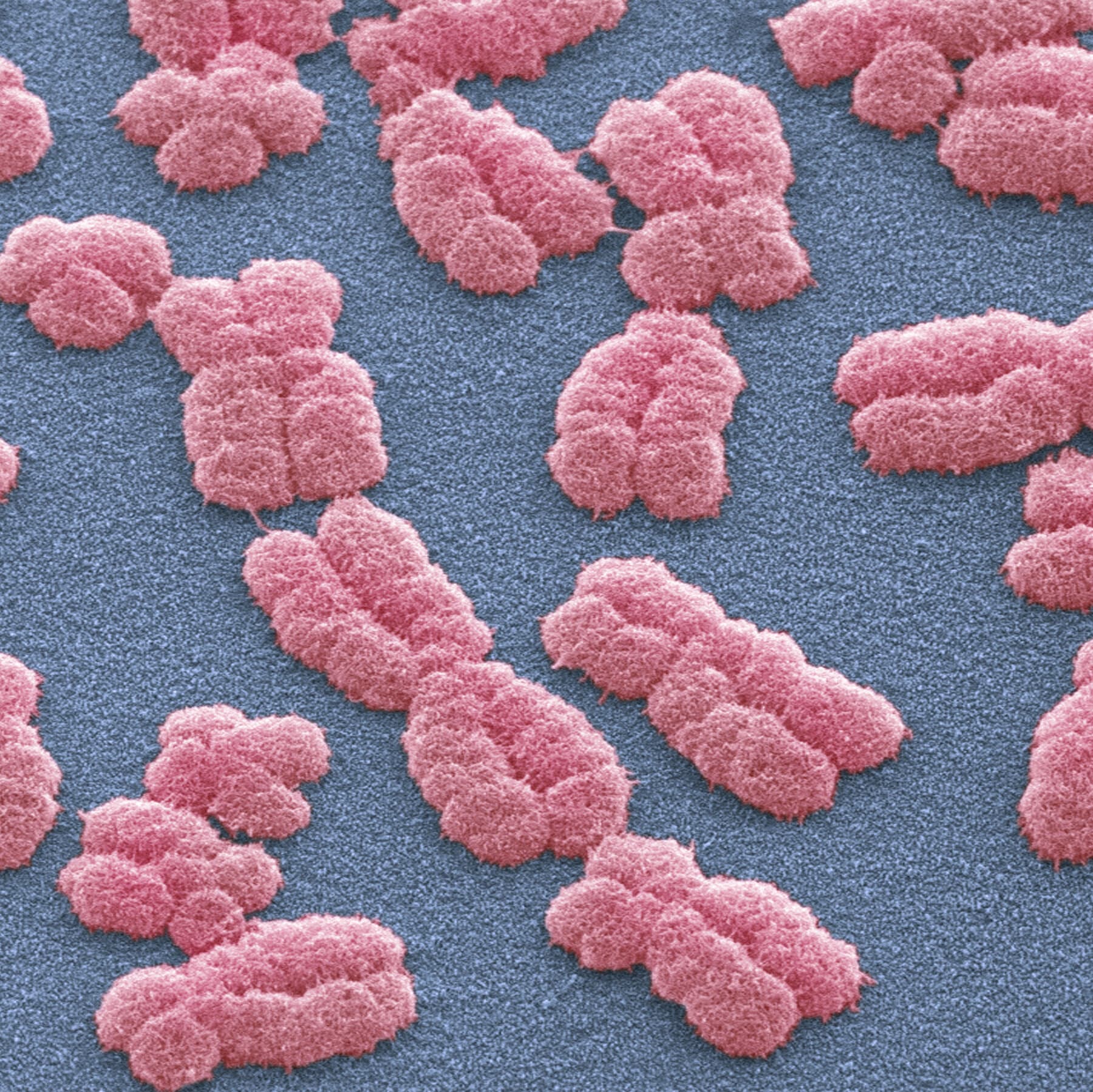 Scientists Find More Than 1,000 DNA Variants Linked to Personality Traits