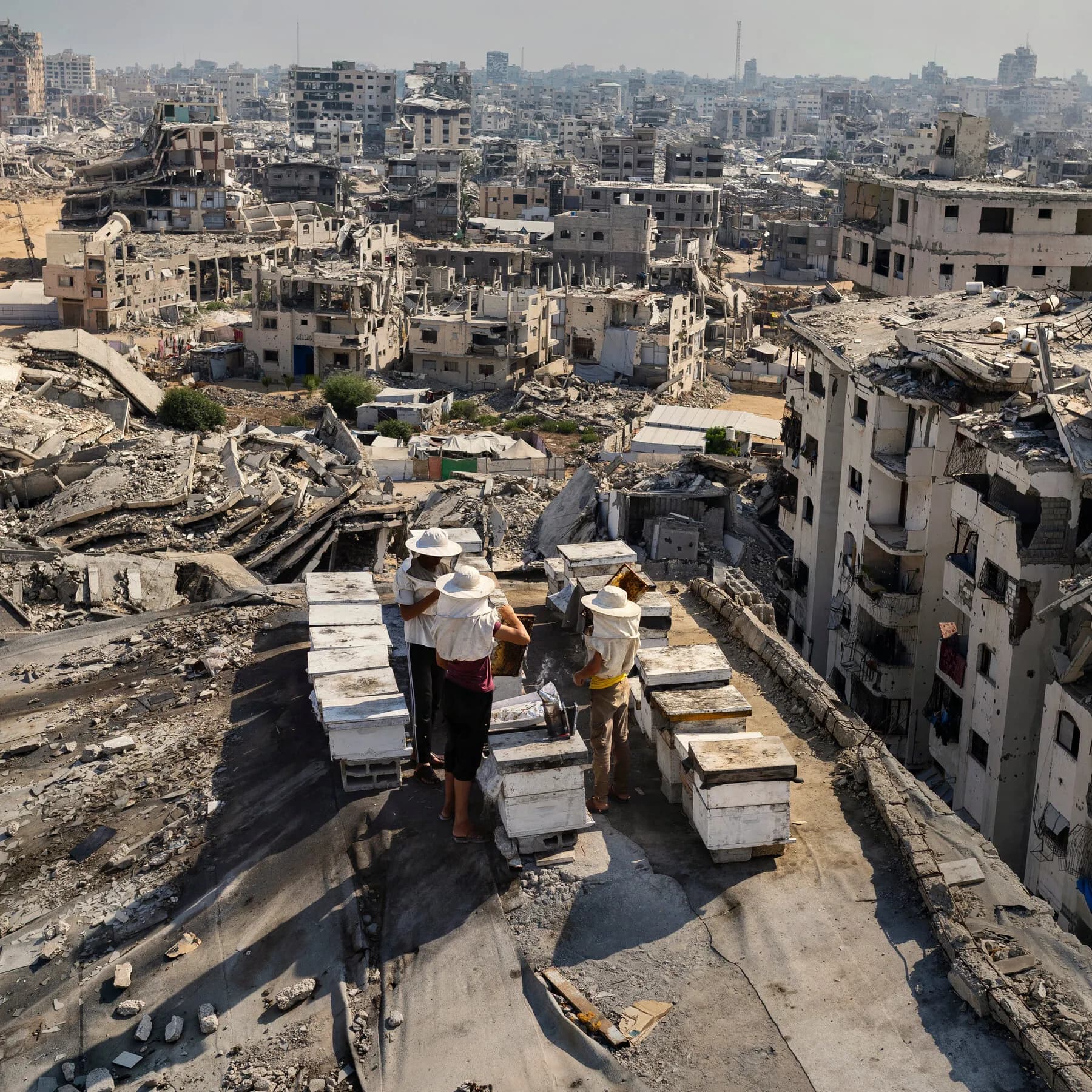 Wringing Hope From the Rubble of Gaza