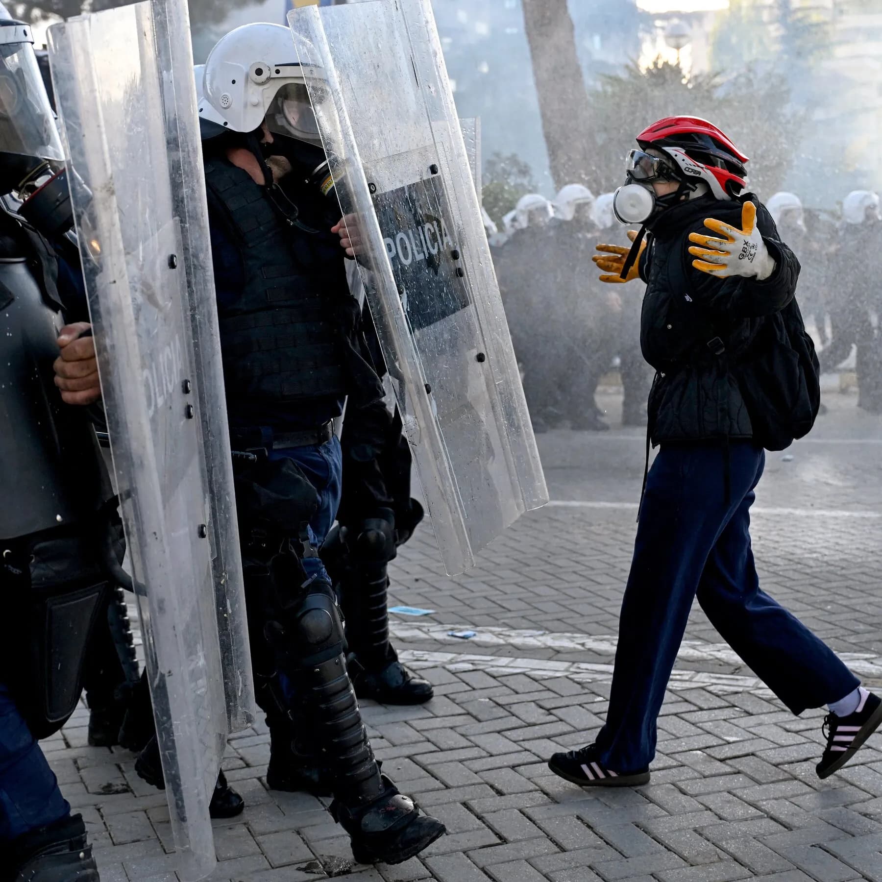 What to Know About the Violent Protests in Albania