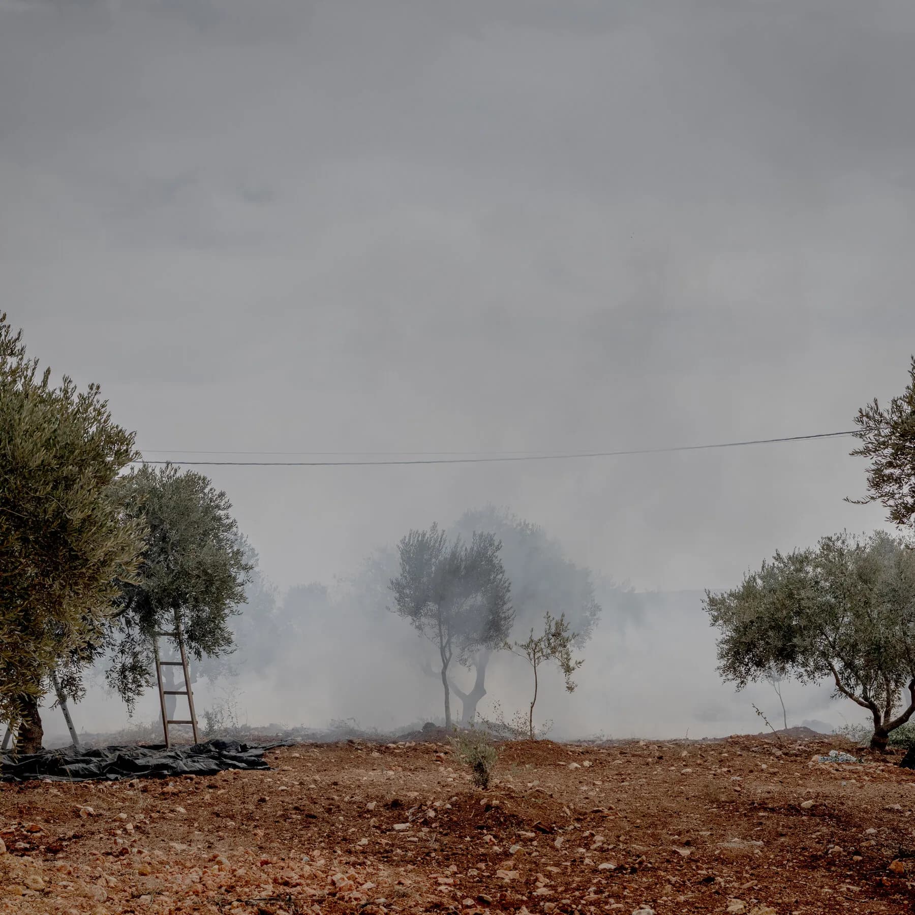 Israeli Settlers Attack Palestinians and European Officials in West Bank