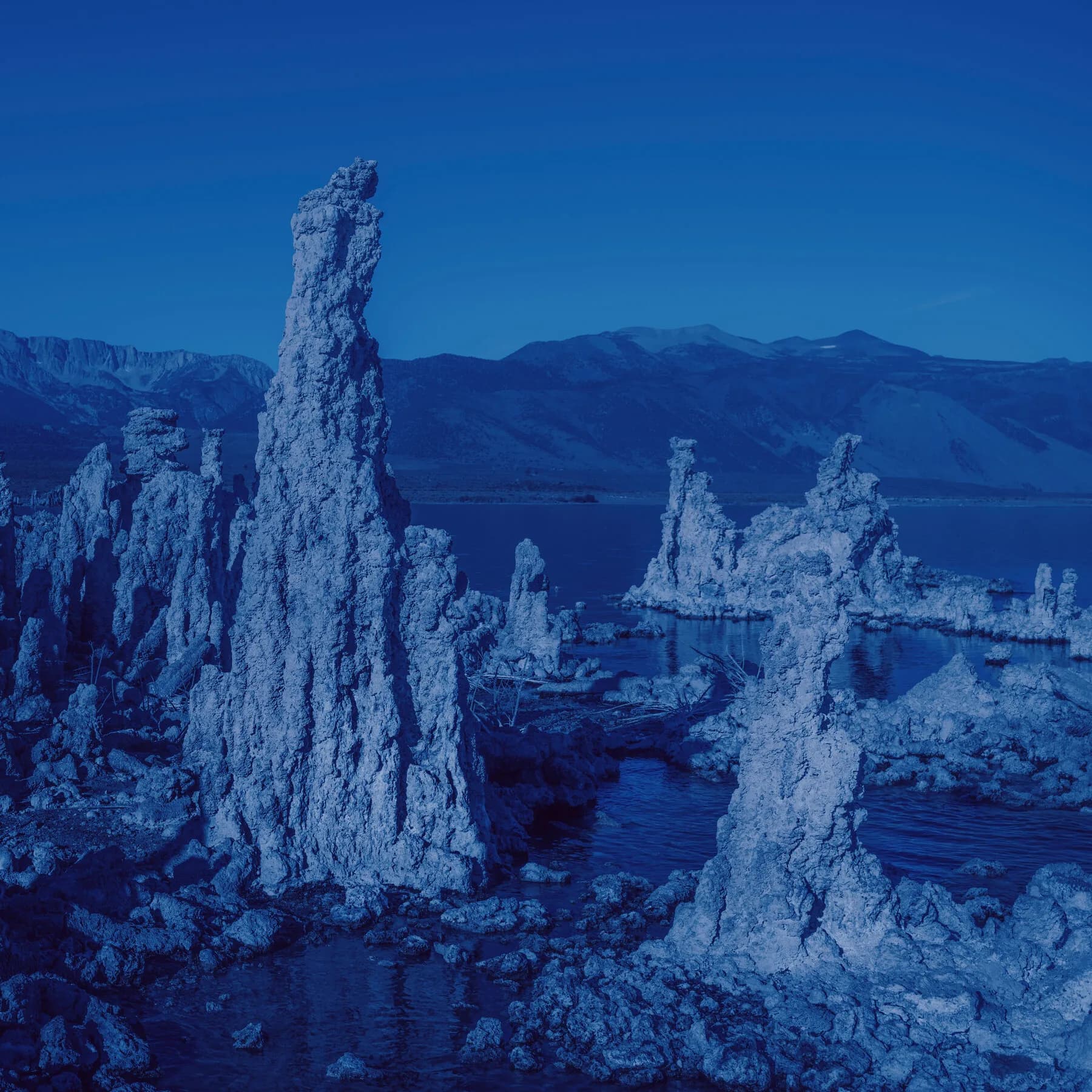 How Did Life Arise? Three Turning Points in Early Evolution