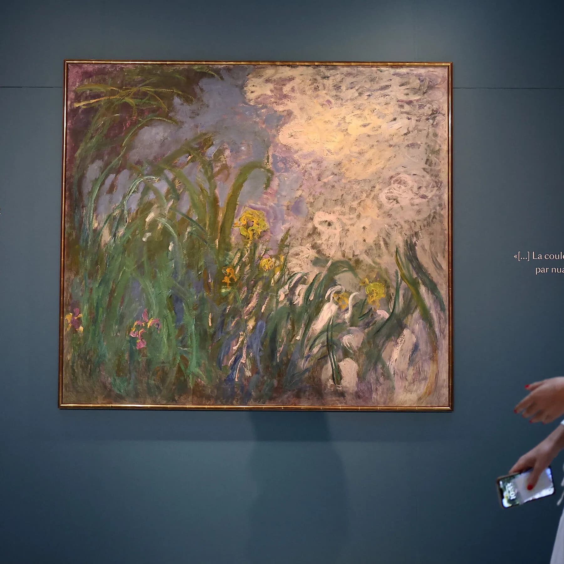 Monet Painting Sells for $56 Million in France