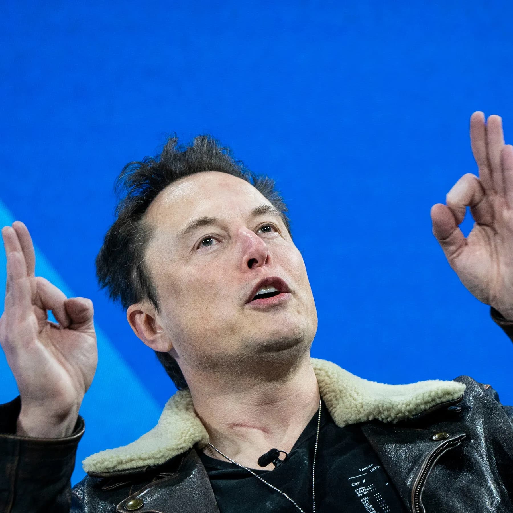 Musk Is Predicting ‘Guppy-level Death’ for Scores of A.I. Companies