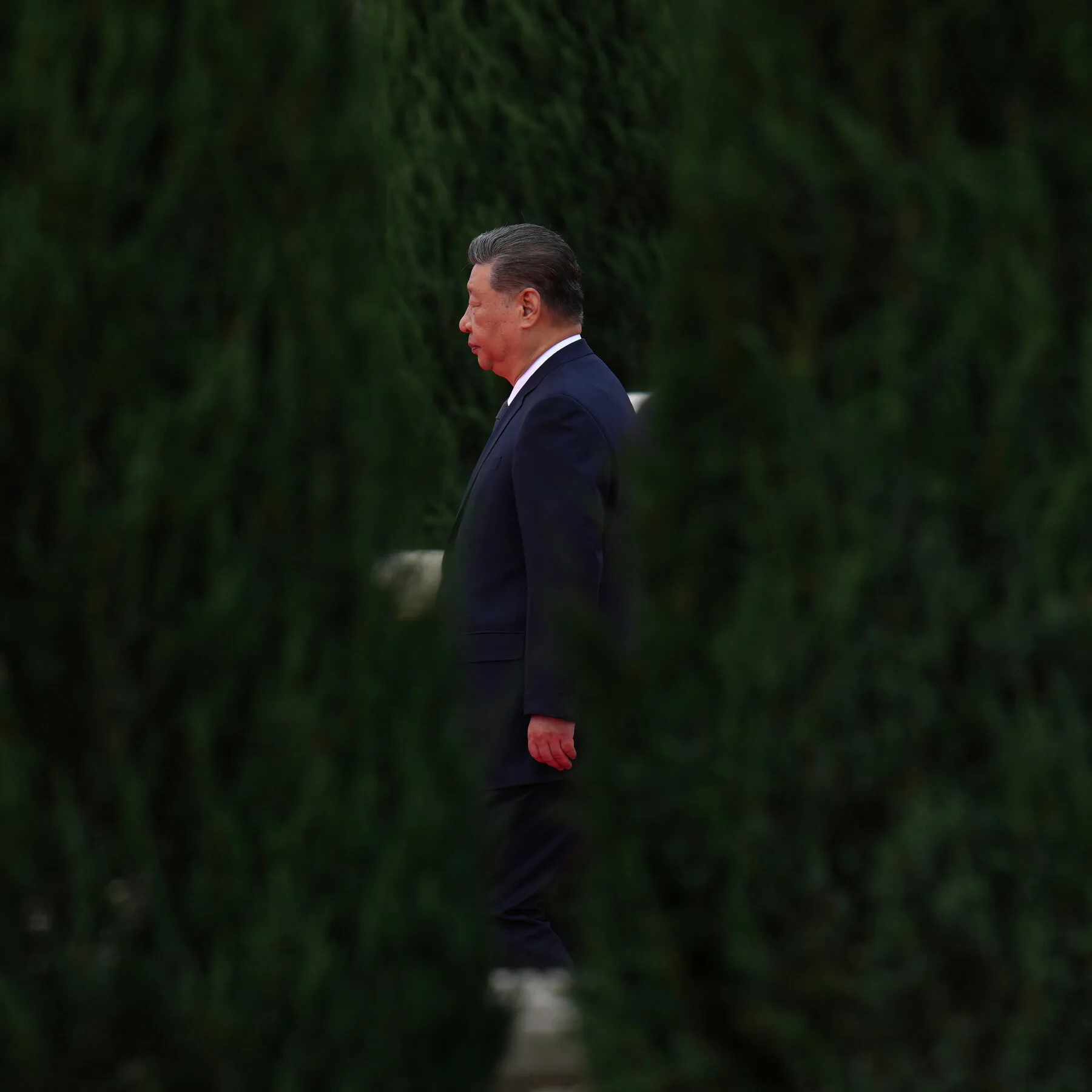 ‘Pull Out the Sick Trees’: Xi’s Constant Purges Pave Way for Next Term